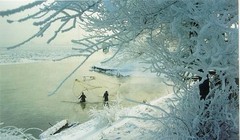 斯大林公园图片