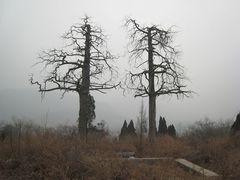 嵩山少林景区图片