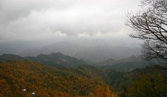 阁院寺图片