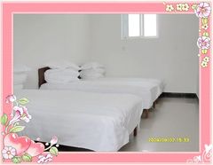 SDC10271
