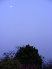moon