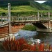 IMG_2009_08_19_0143