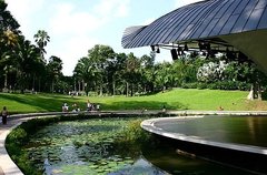 新加坡植物园图片