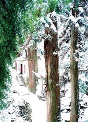 天目山图片