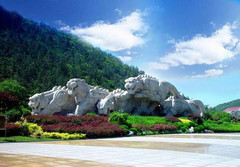 老虎滩海洋公园图片