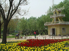 南京情侣园图片