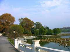 玄武湖公园04