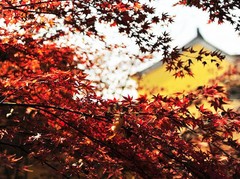 栖霞山07栖霞寺