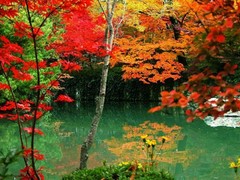 栖霞山图片