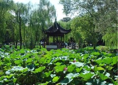 拙政园图片