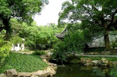 寄畅园03植物