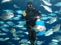 上海海洋水族馆图片
