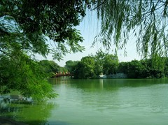 还剑湖图片