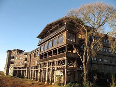 树顶旅馆图片
