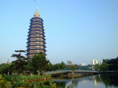 红梅公园图片