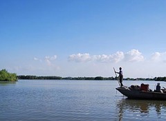 溱湖湿地图片