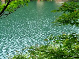 天目湖水
