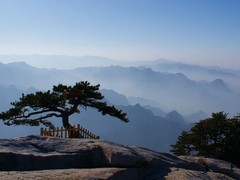 华山8美图