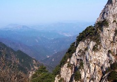 西天目山图片