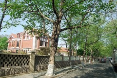 八大关图片