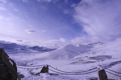 米拉山图片