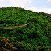  亚龙湾天堂森林公园