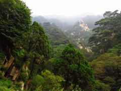 泰山4