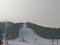 沈阳图片