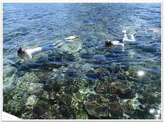 浮潜