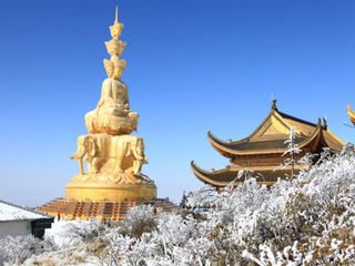金顶
