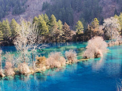 九寨沟图片