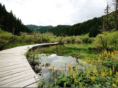 牟尼沟图片