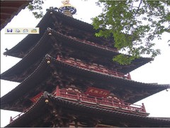 苏州乐园图片