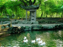 兰亭图片