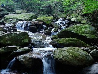 藏龙百瀑