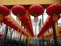 西溪湿地图片