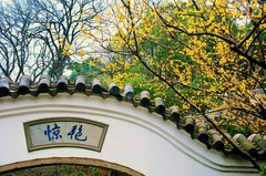 鼋头渚图片