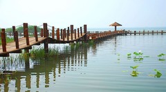 太湖湿地公园