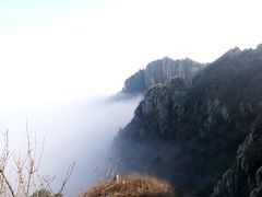 泰山