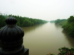 西溪湿地图片