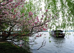 西湖图片