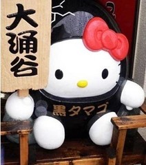 大涌谷图片
