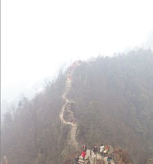 茶山竹海-山