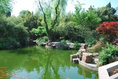 个园图片