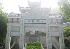 茶山竹海图片