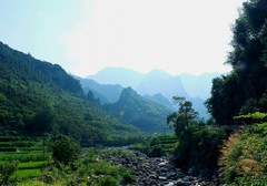 安吉竹海图片