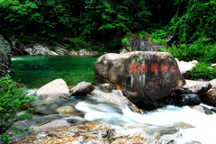 上海美术馆图片