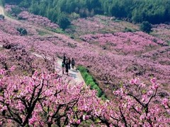 宁海图片