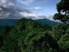 井冈山图片