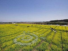 宁海图片
